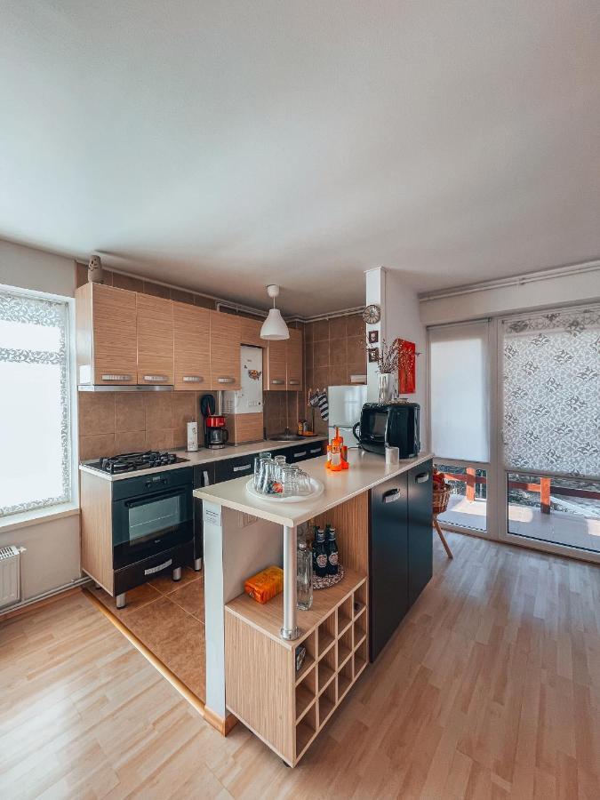 Sebiana Daire Buşteni Dış mekan fotoğraf